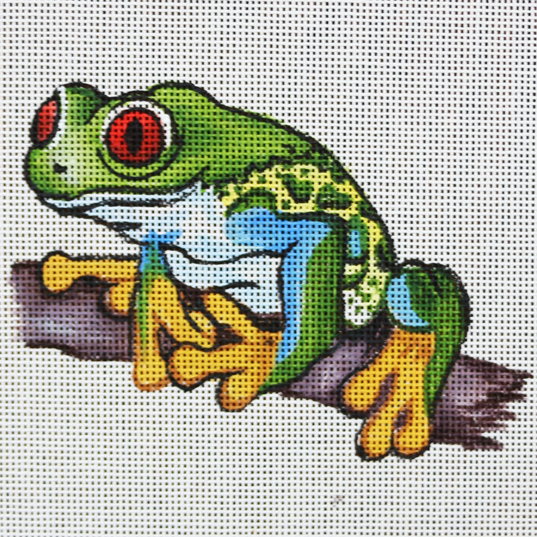R837 Red Eyed Tree Frog