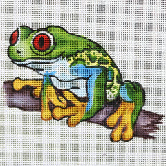 R837 Red Eyed Tree Frog