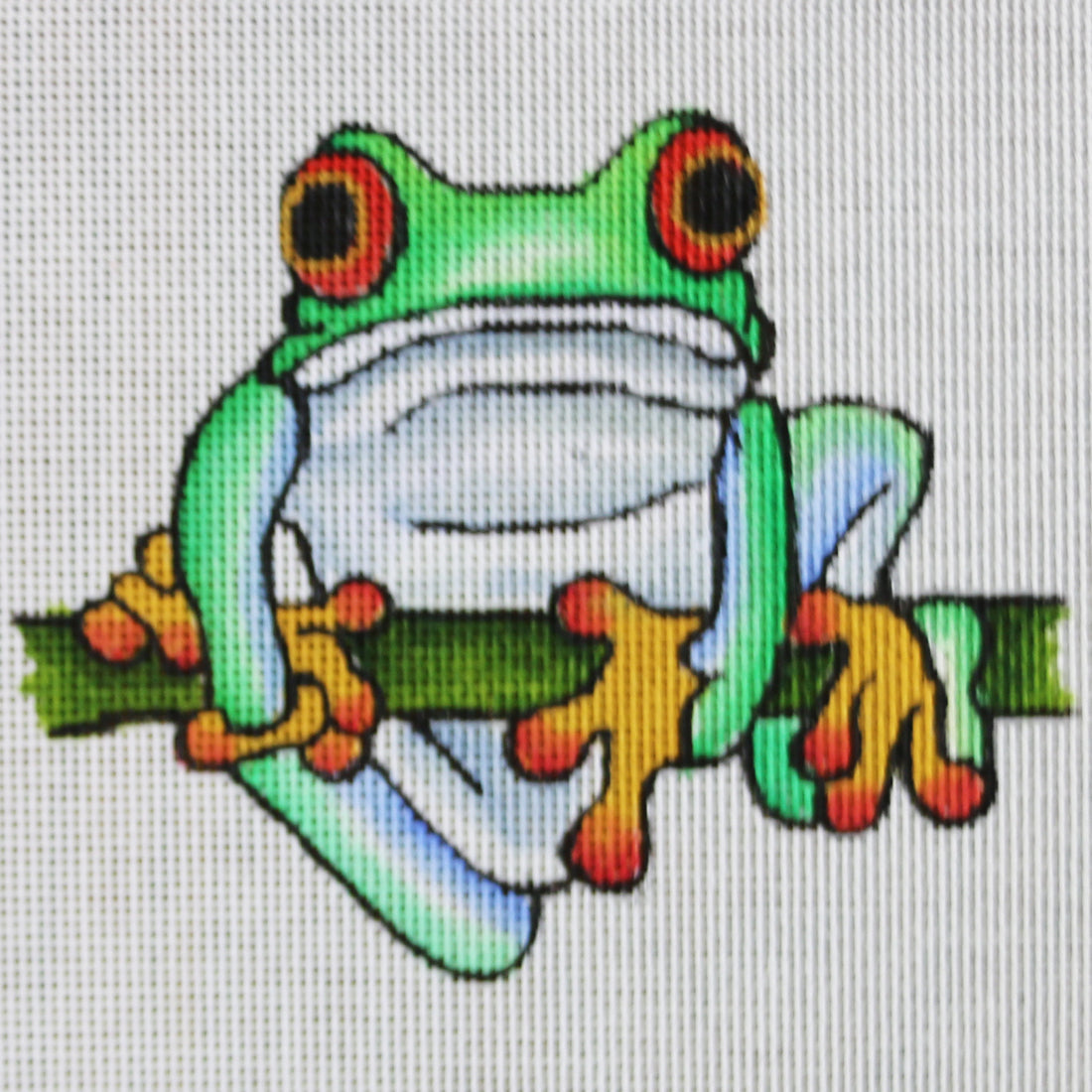 R839 Red Eye Tree Frog on a Branch