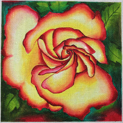 R843 Circus Rose
