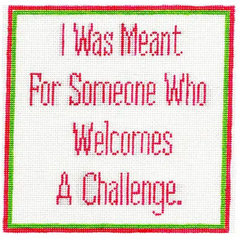 SS35 I Was Meant for Someone Who Welcomes a Challenge