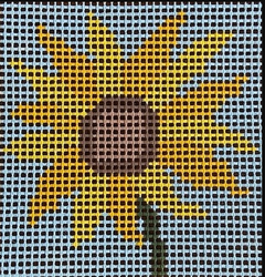 SL-07 Sunshine