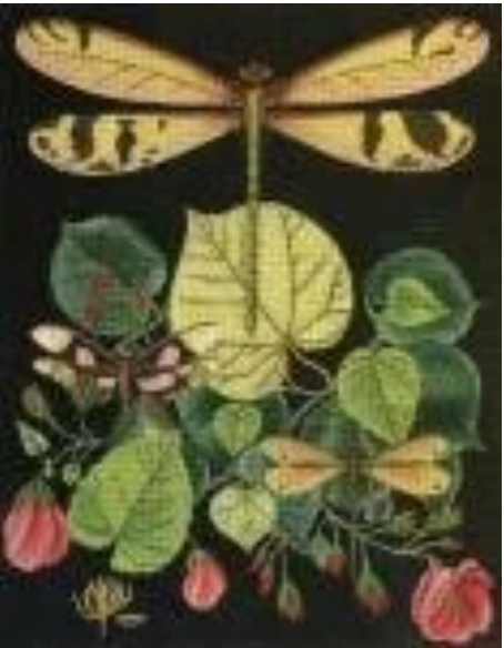 2151C DRAGONFLY WITH PINK ROSES