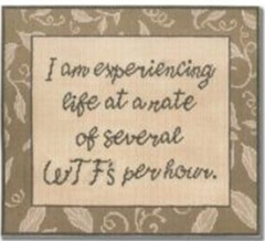 SS64 I am experiencing Life at Several WTF per Hour