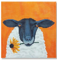 SC-PL60 Skunk with Black Eyed Susan