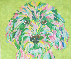 MC-PL-24 Golden Doodle on Lime