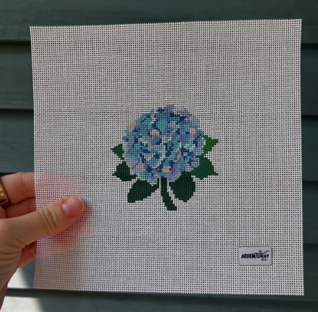 Colorful Hydrangea