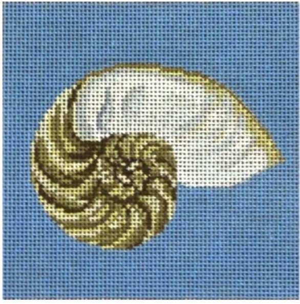 #102 Nautilus Shell