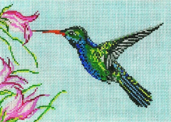 1613 Broad Billed Hummingbird