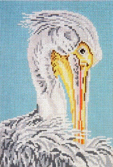 1629-13 White Pelican