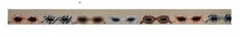 JP-BL 085 Sassy Sunnies on Tan Canvas