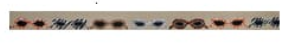 JP-BL 085 Sassy Sunnies on Tan Canvas