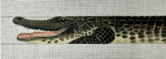 TTB146- Alligator Belt