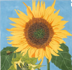 P-22 Sunflower