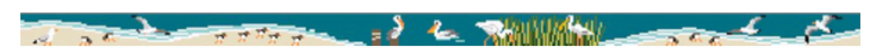 TSS-105 Shore Birds Belt