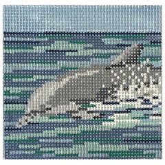 1828 Dolphin Coaster