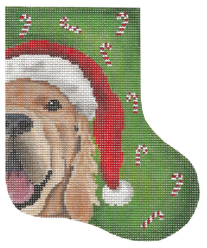 GD-SX01 Golden Claus Mini Sock