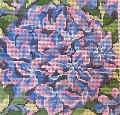 233 Pink & Blue Hydrangea