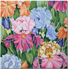 KDS-PL17 Iris Paradise