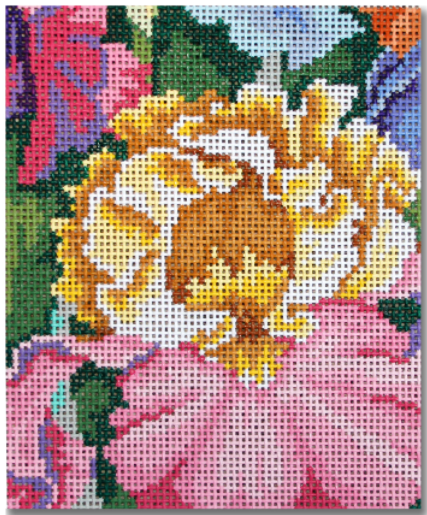 KDS-PL19 Small Iris Paradise