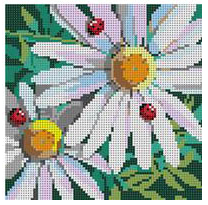 KDS-PL32 Daisies