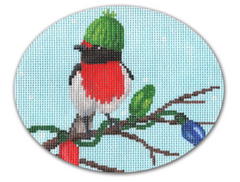 SC-XO47 Birdy Lights